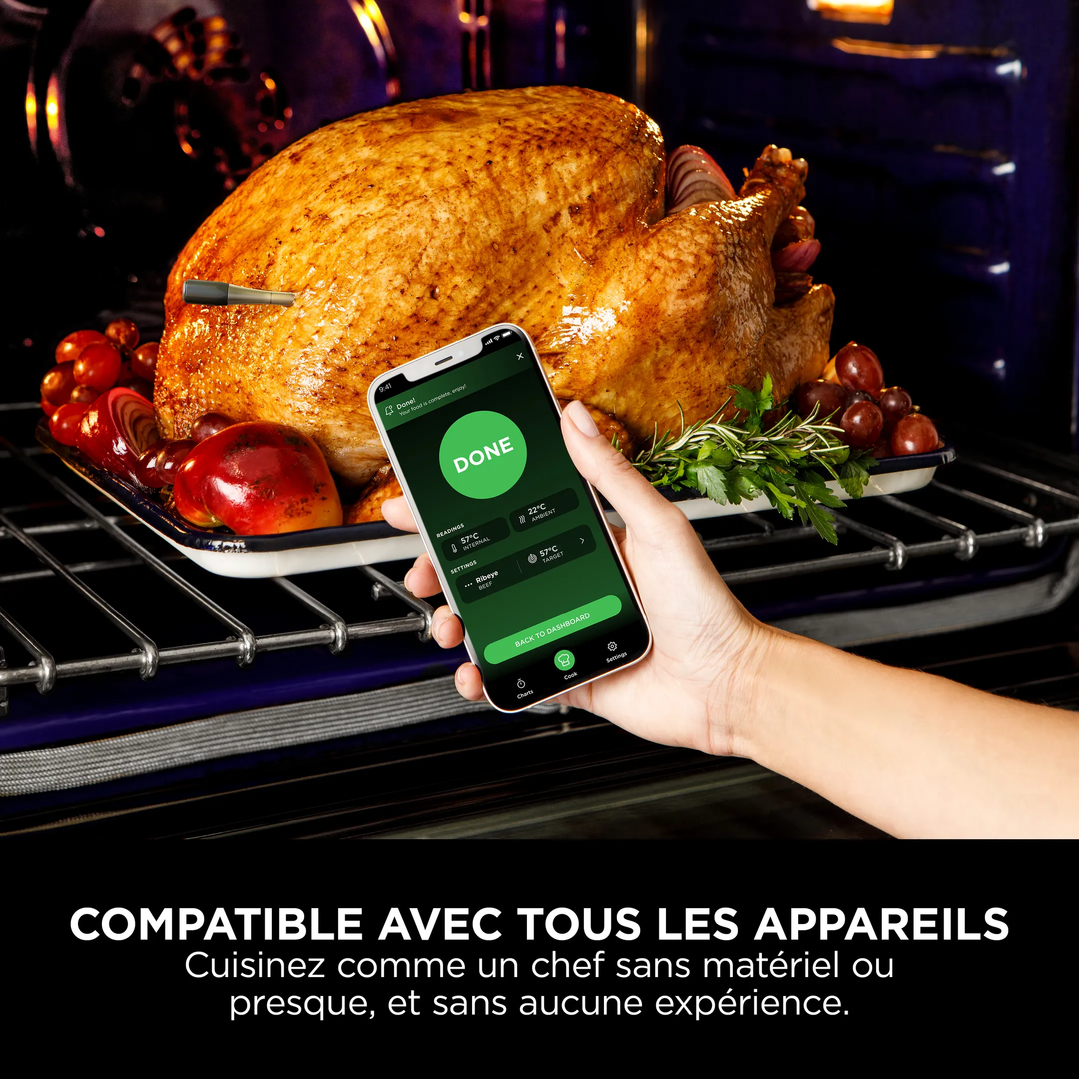 Thermosonde à viande ProChef WP100EU