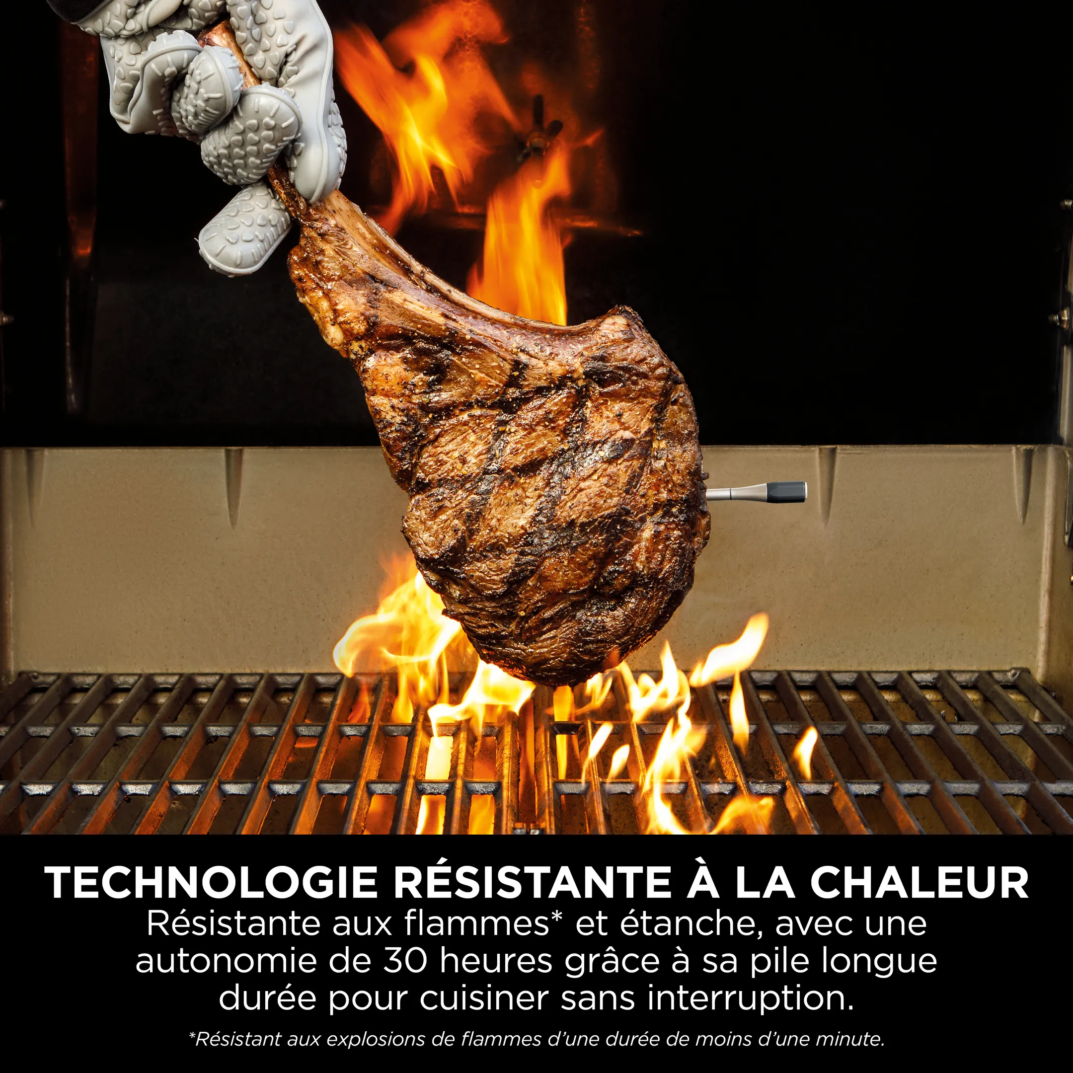 Thermosonde à viande ProChef WP100EU