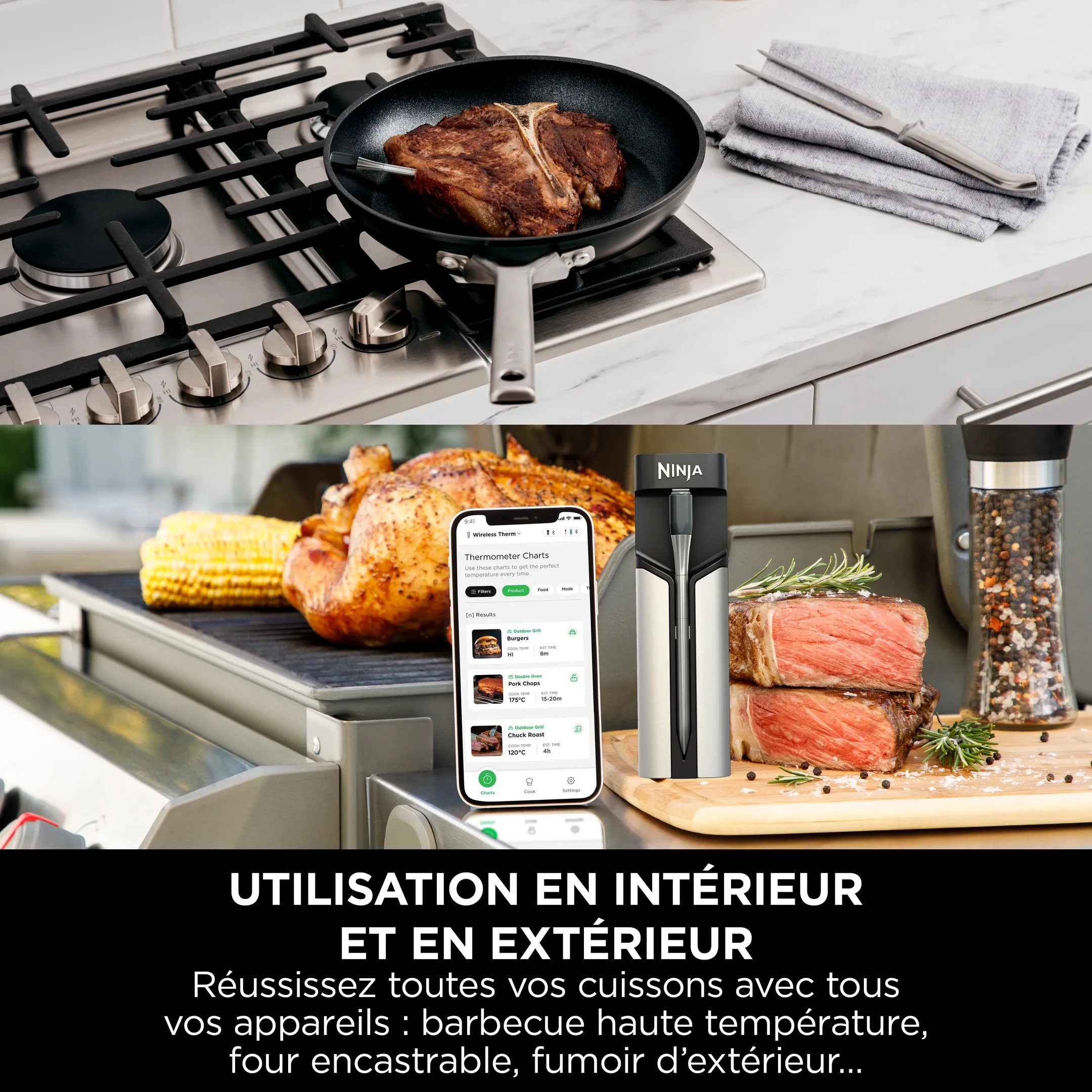 Thermosonde à viande ProChef WP100EU