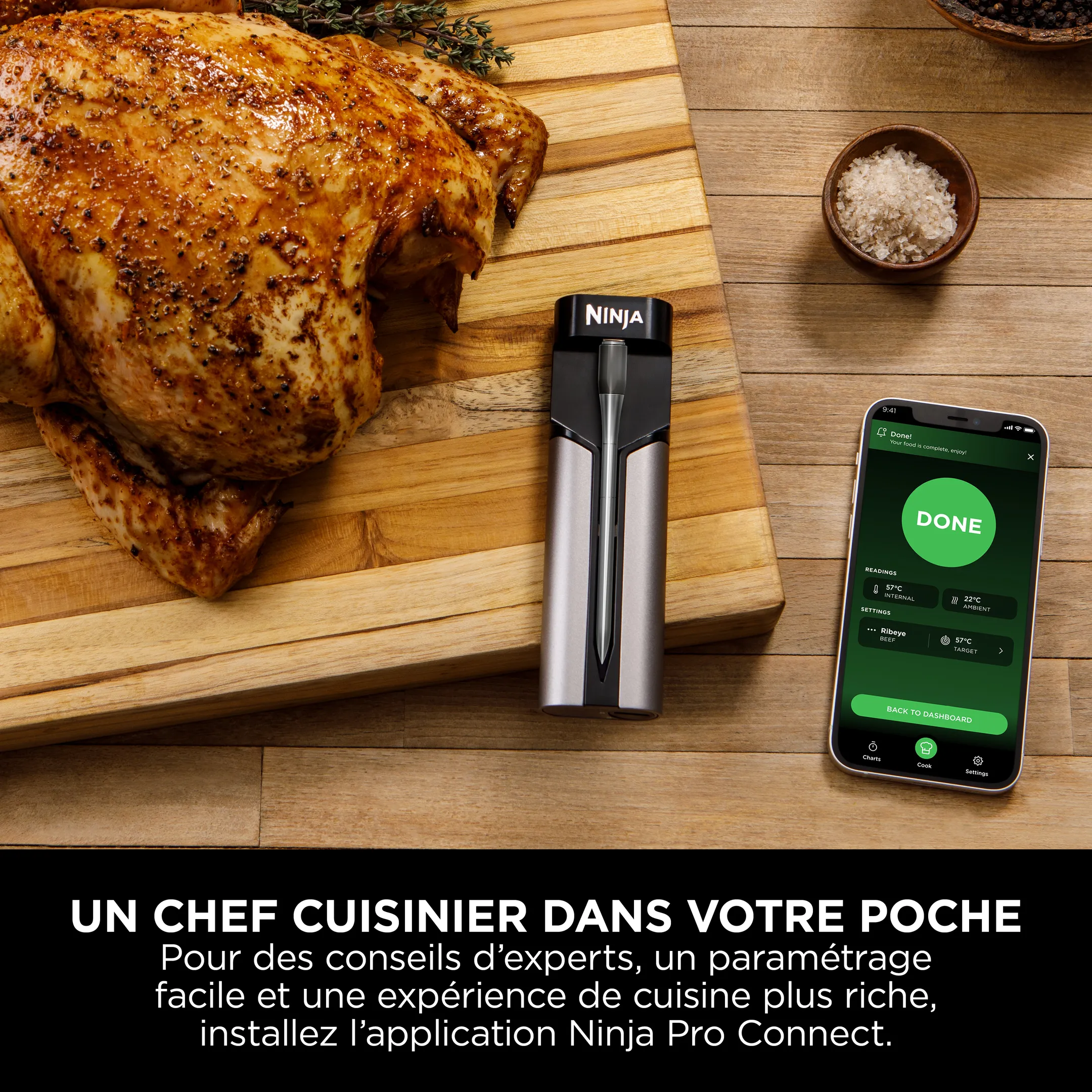 Thermosonde à viande ProChef WP100EU