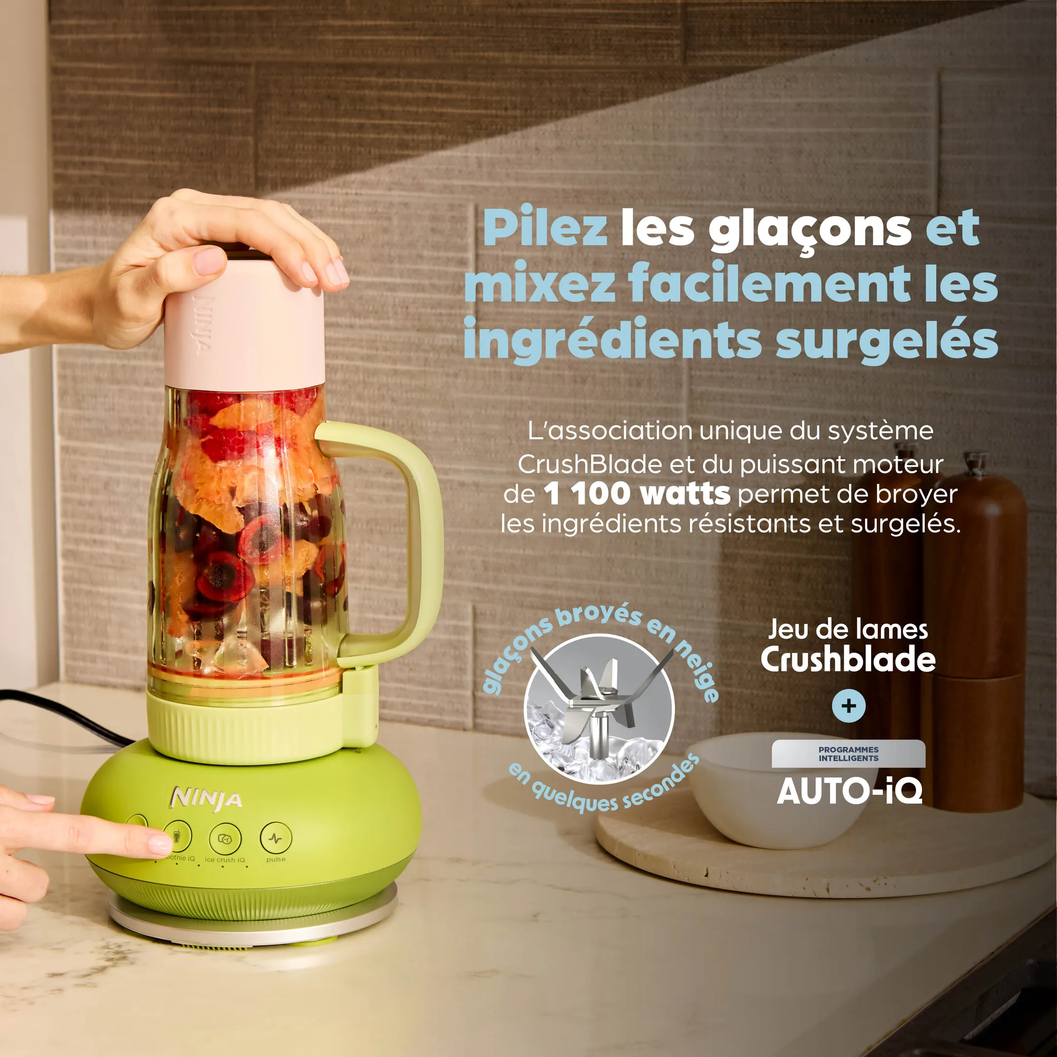Blender BlendBoss DB351EUCY