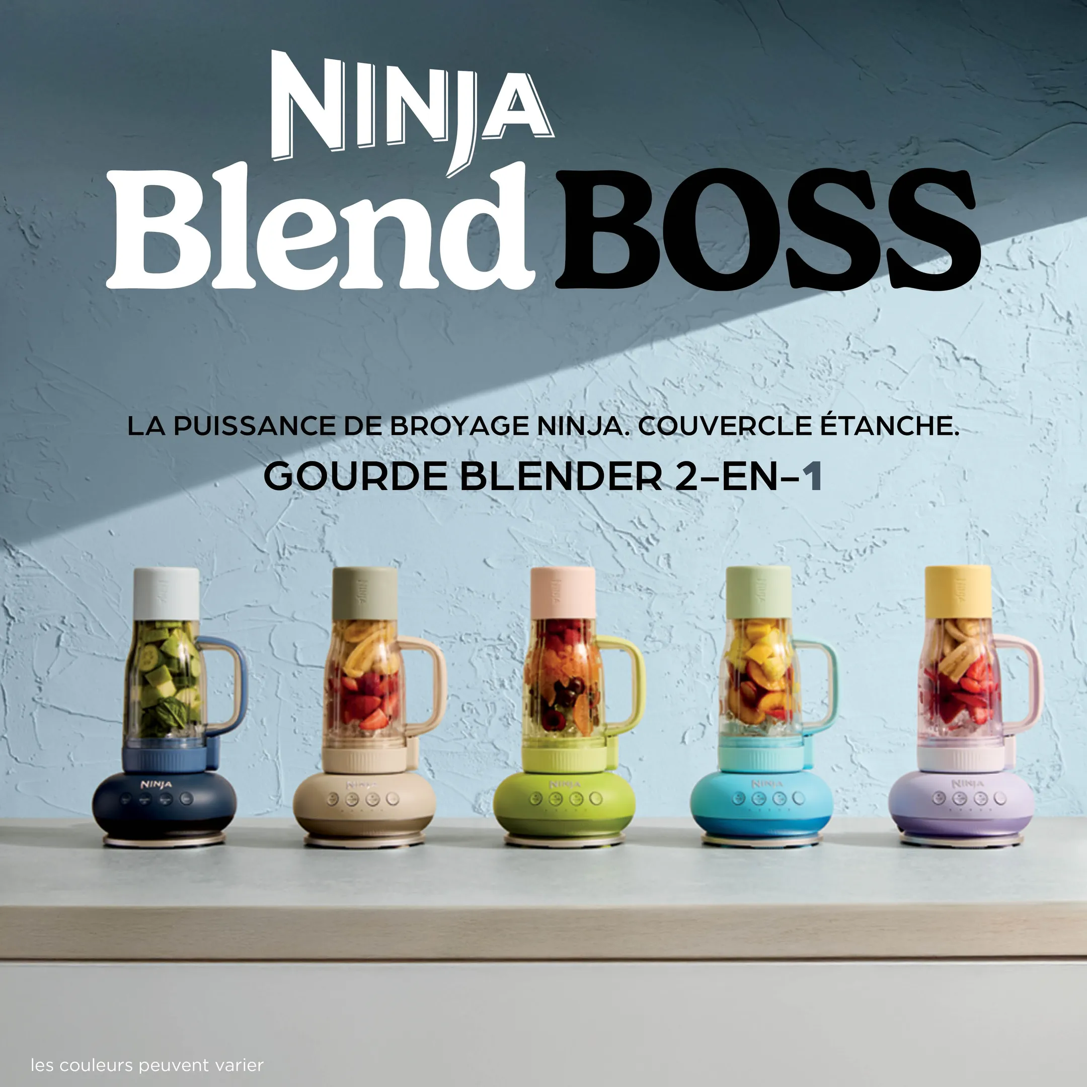 Blender BlendBoss DB351EUCY