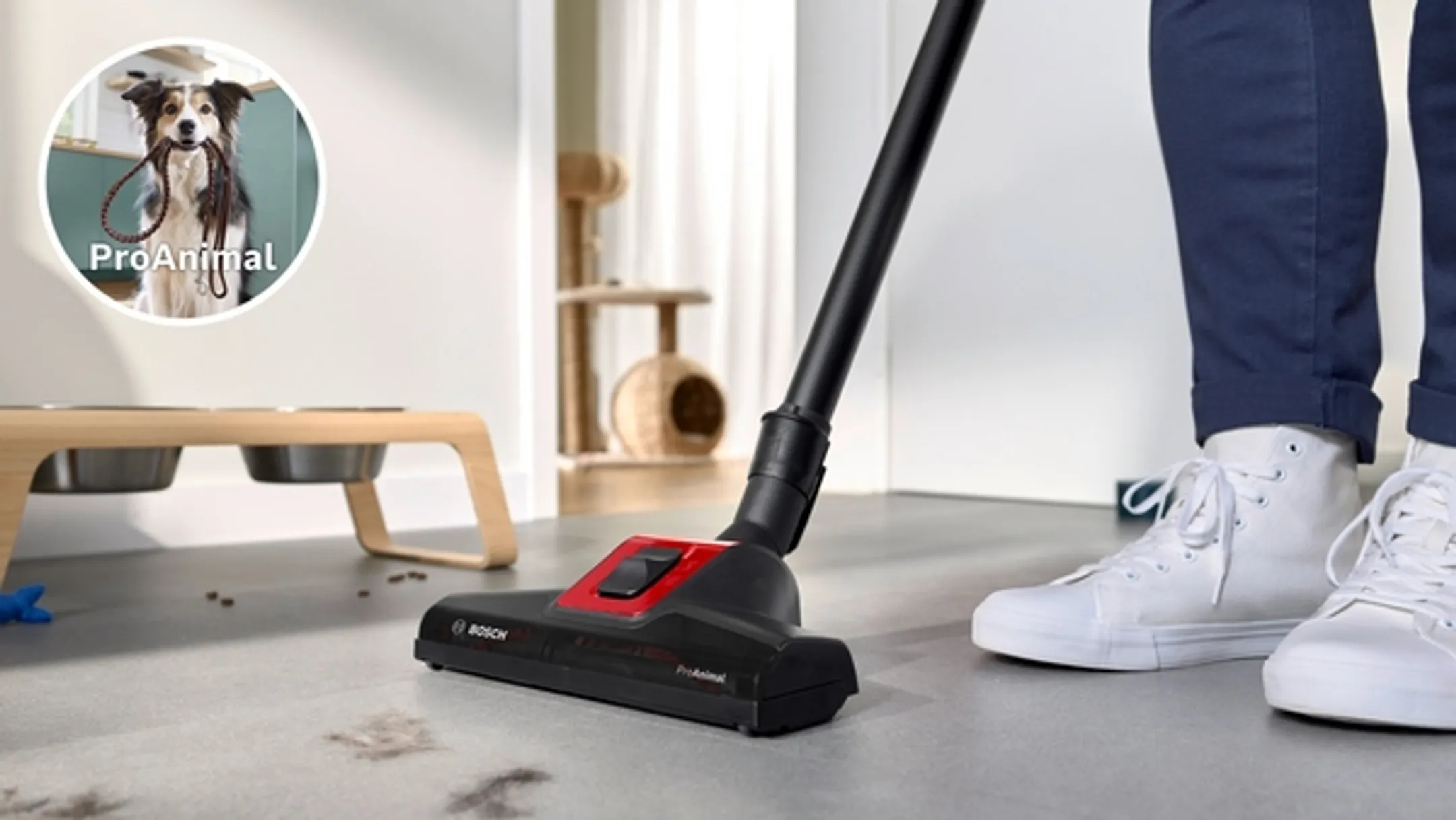 Aspirateur sans sac ProAnimal BGS41PET1