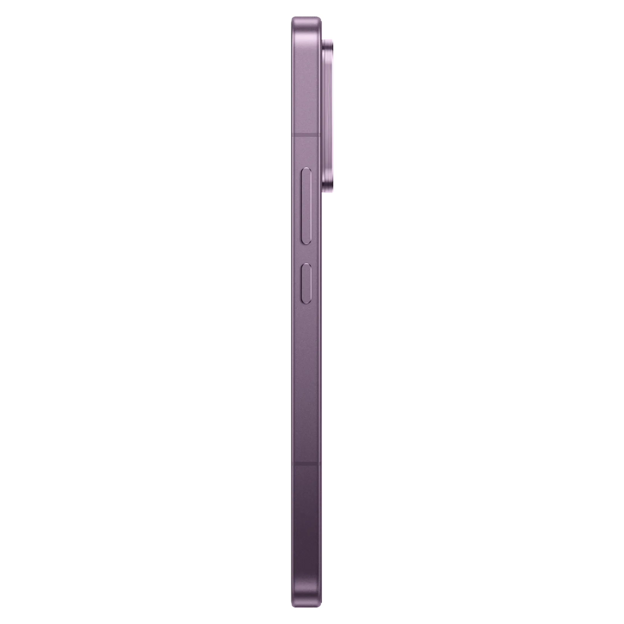 17T Pro 256 GB - Paars