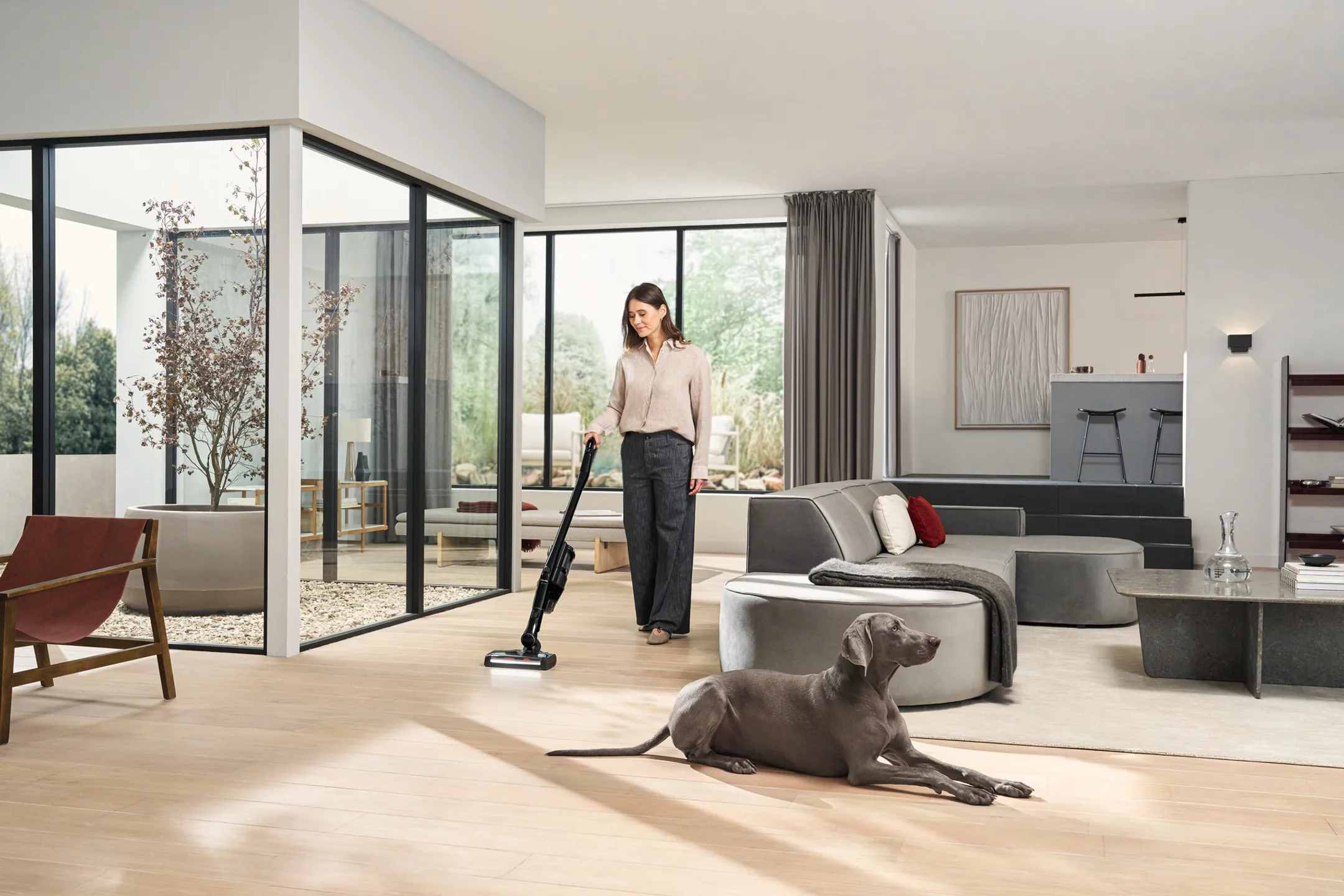 Aspirateur balai Triflex HX3 Cat & Dog