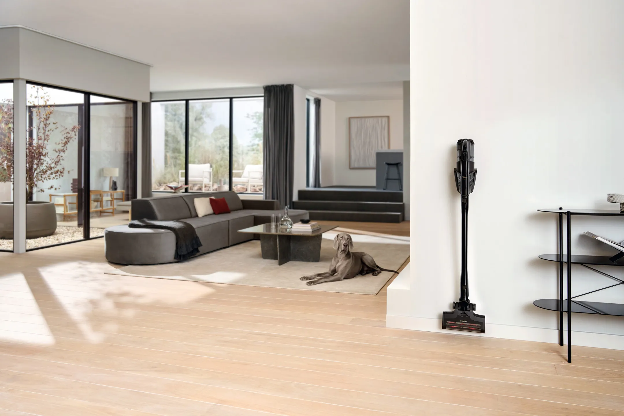 Aspirateur balai Triflex HX3 Cat & Dog
