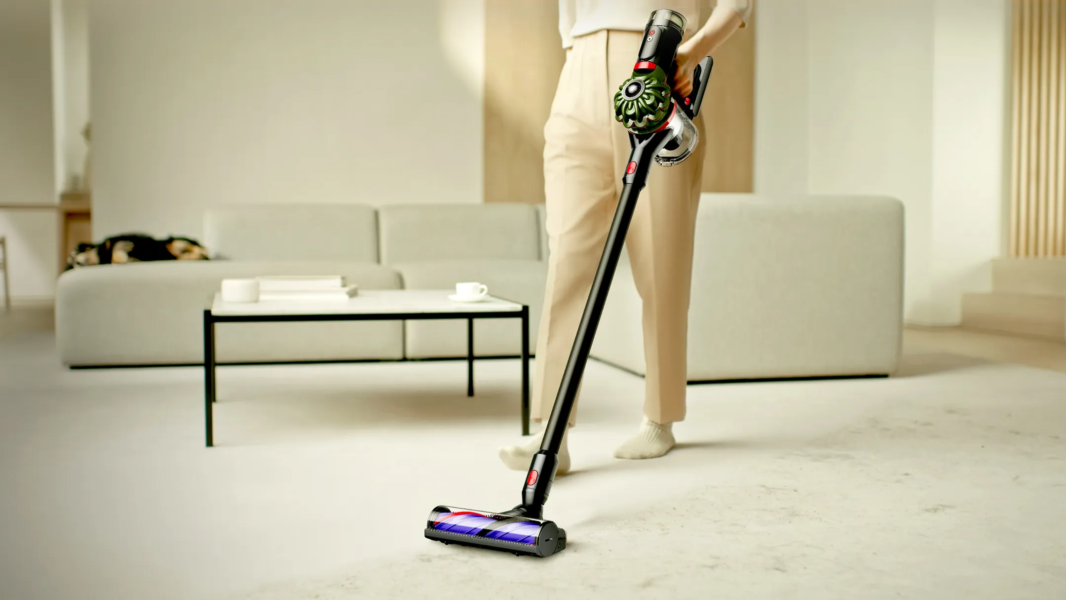 Aspirateur balai V8 Cyclone