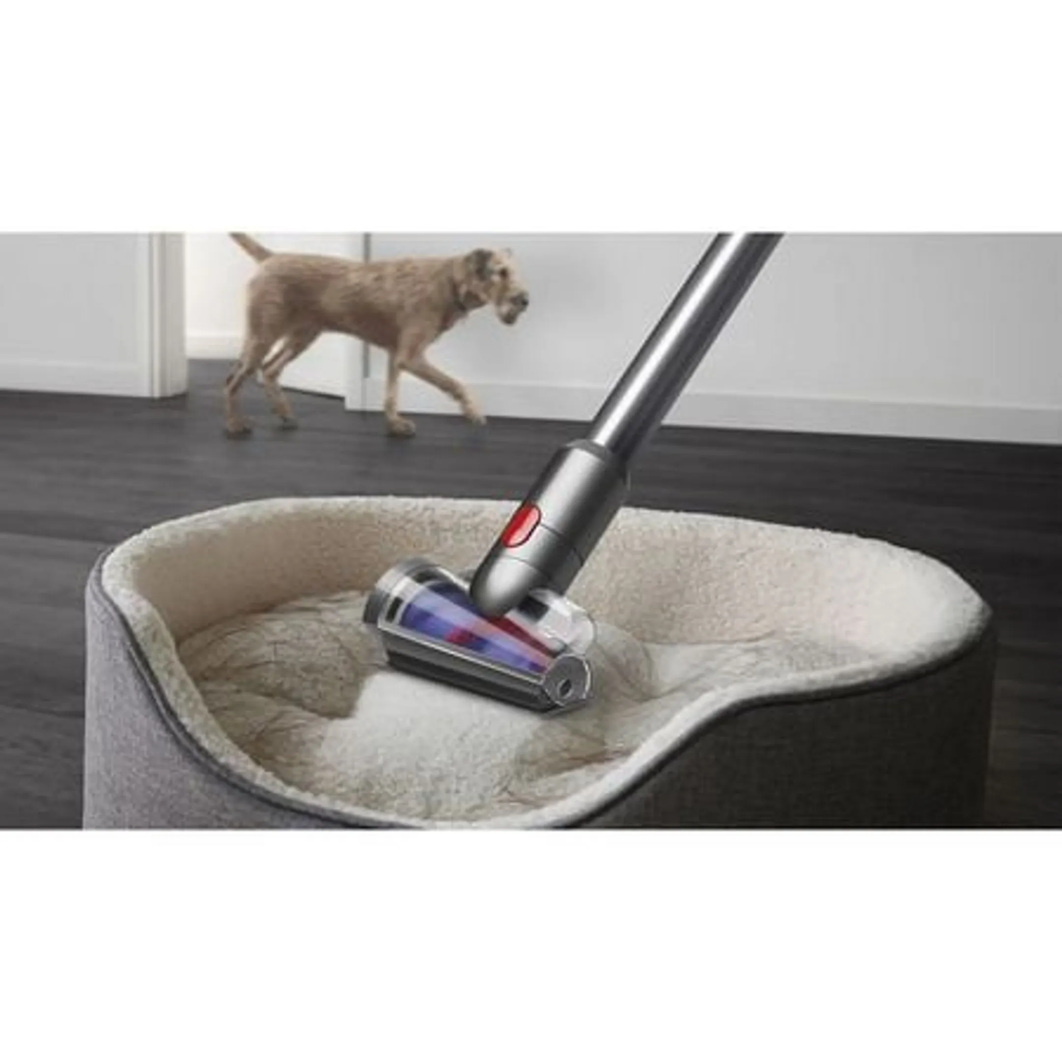 Steelstofzuiger V12 Detect Slim Absolute 2026