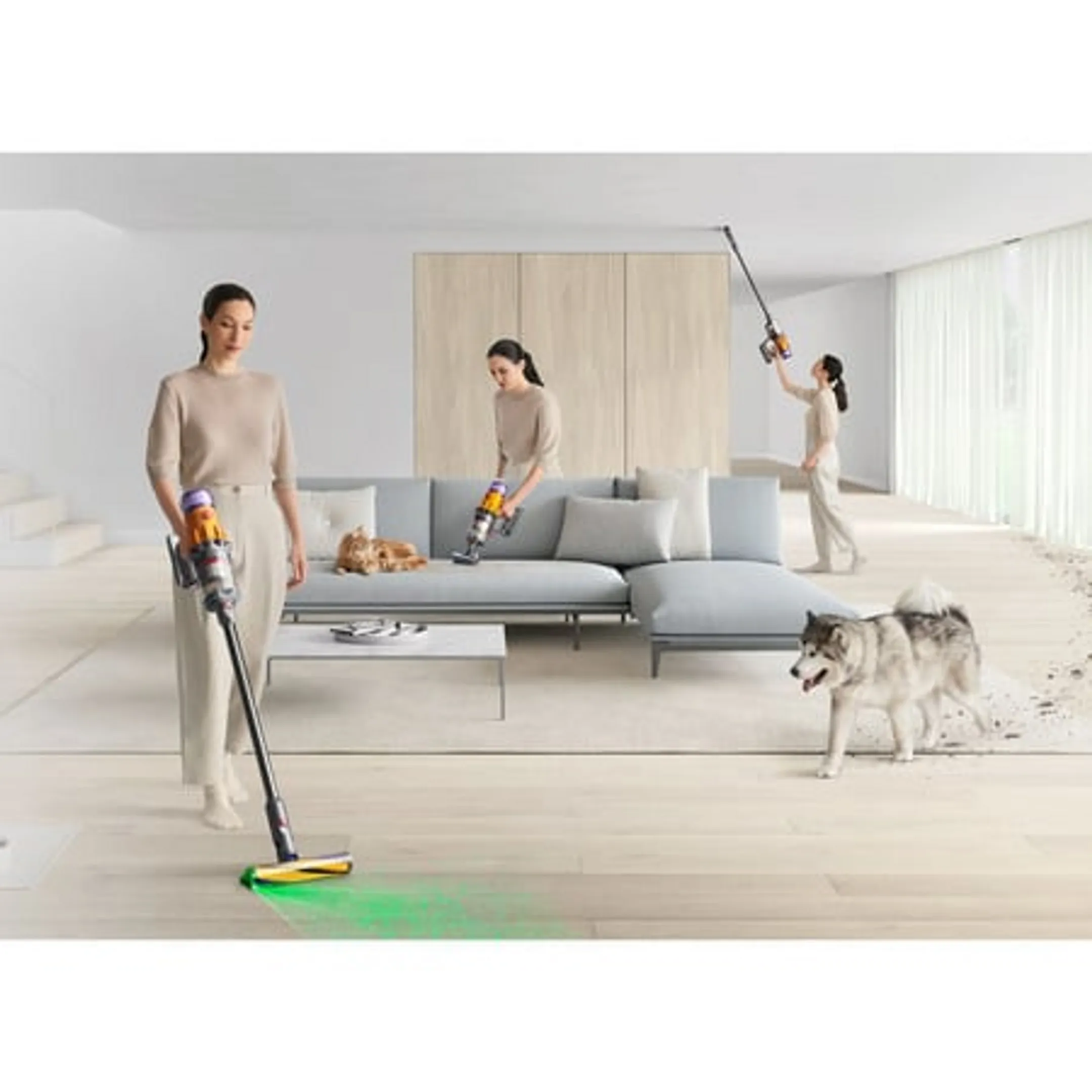 Steelstofzuiger V12 Detect Slim Absolute 2026