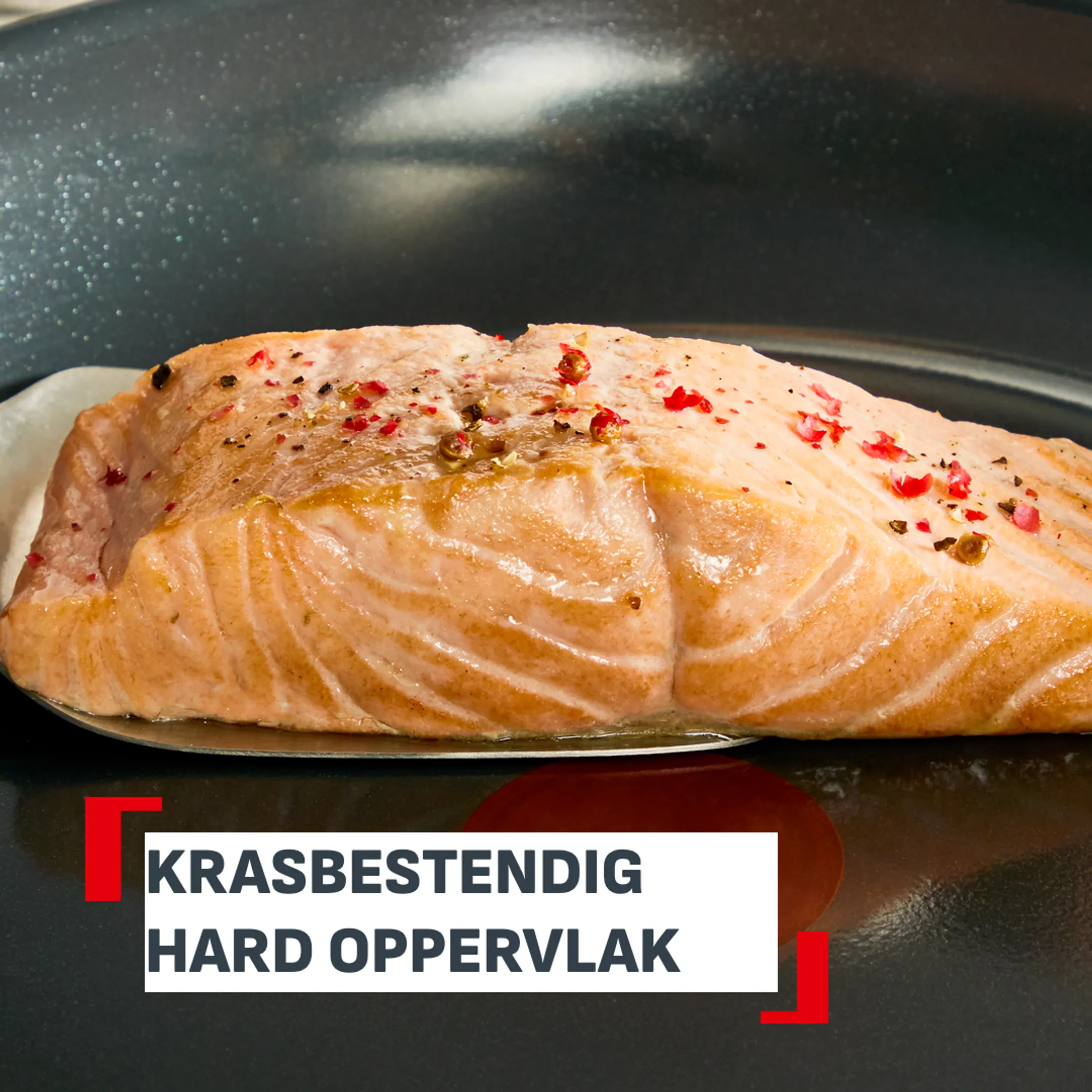 Braadpan Emotion+ E3310404 - Ø24cm