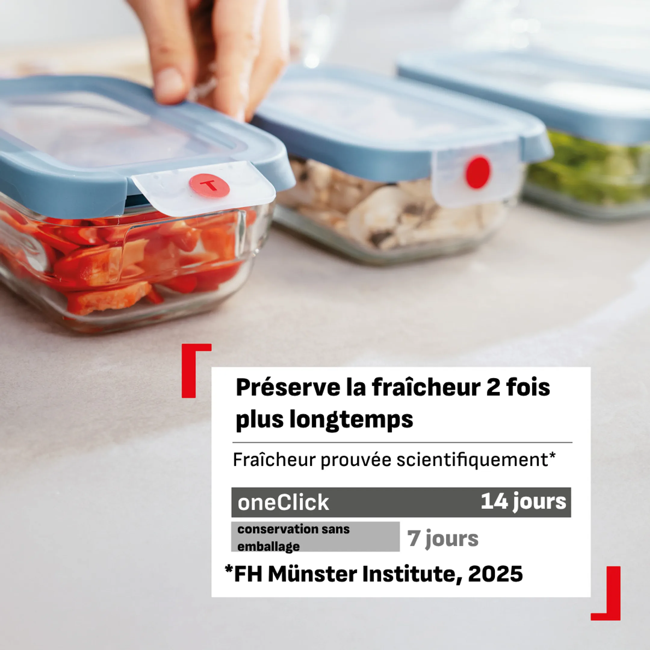 Boîte de conservation OneClick N1240210 - 1L