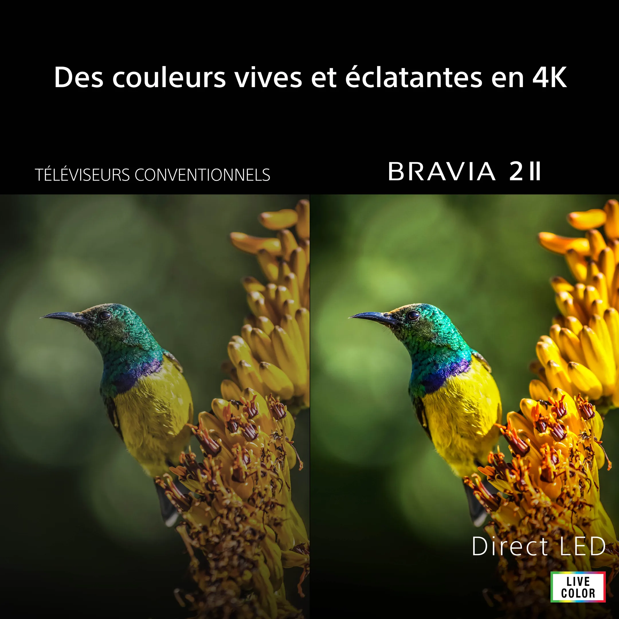 Direct LED 4K TV BRAVIA 2 || K55S25VM2PB (2026) - 55 pouces