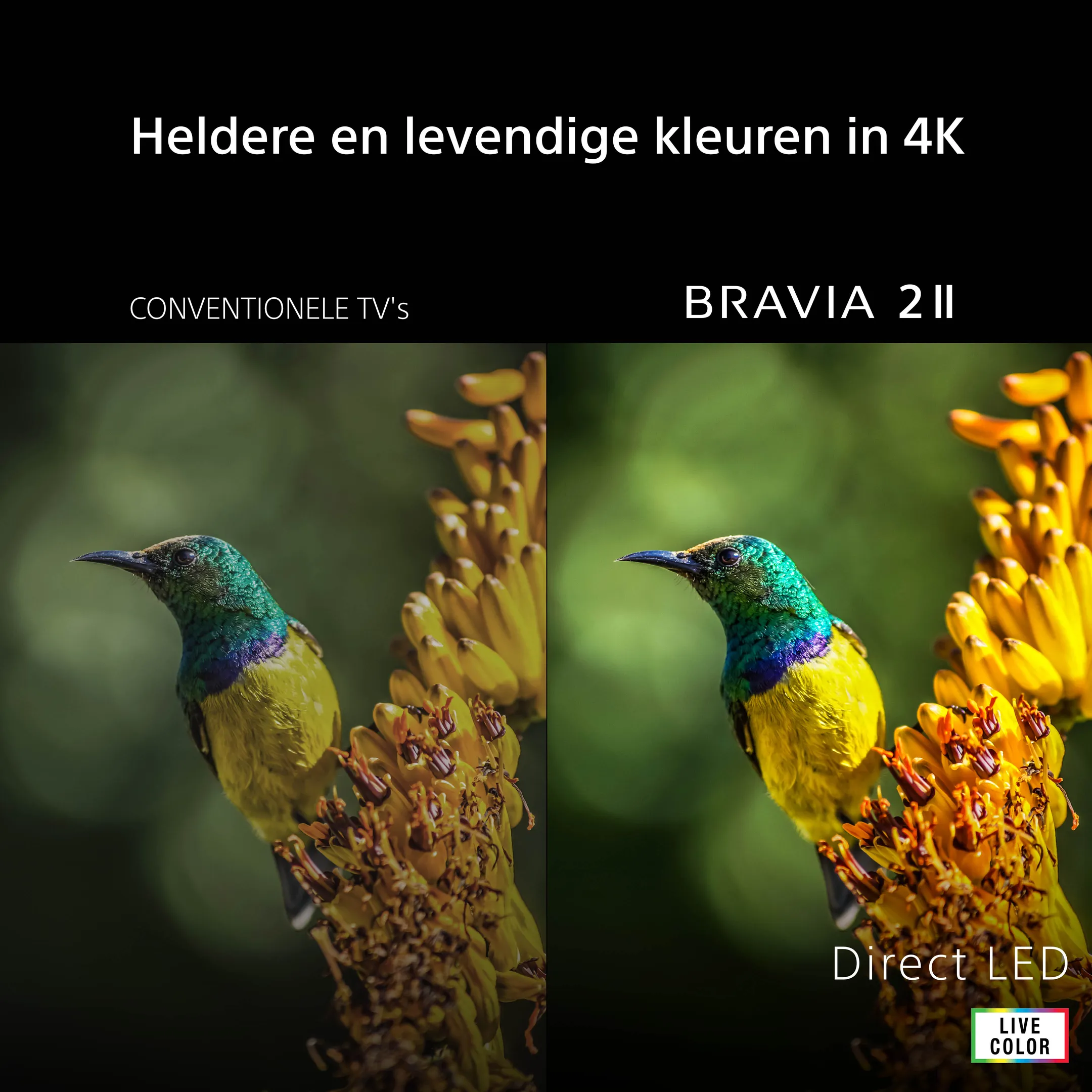Direct LED 4K TV BRAVIA 2 || K55S25VM2PB (2026) - 55 inch