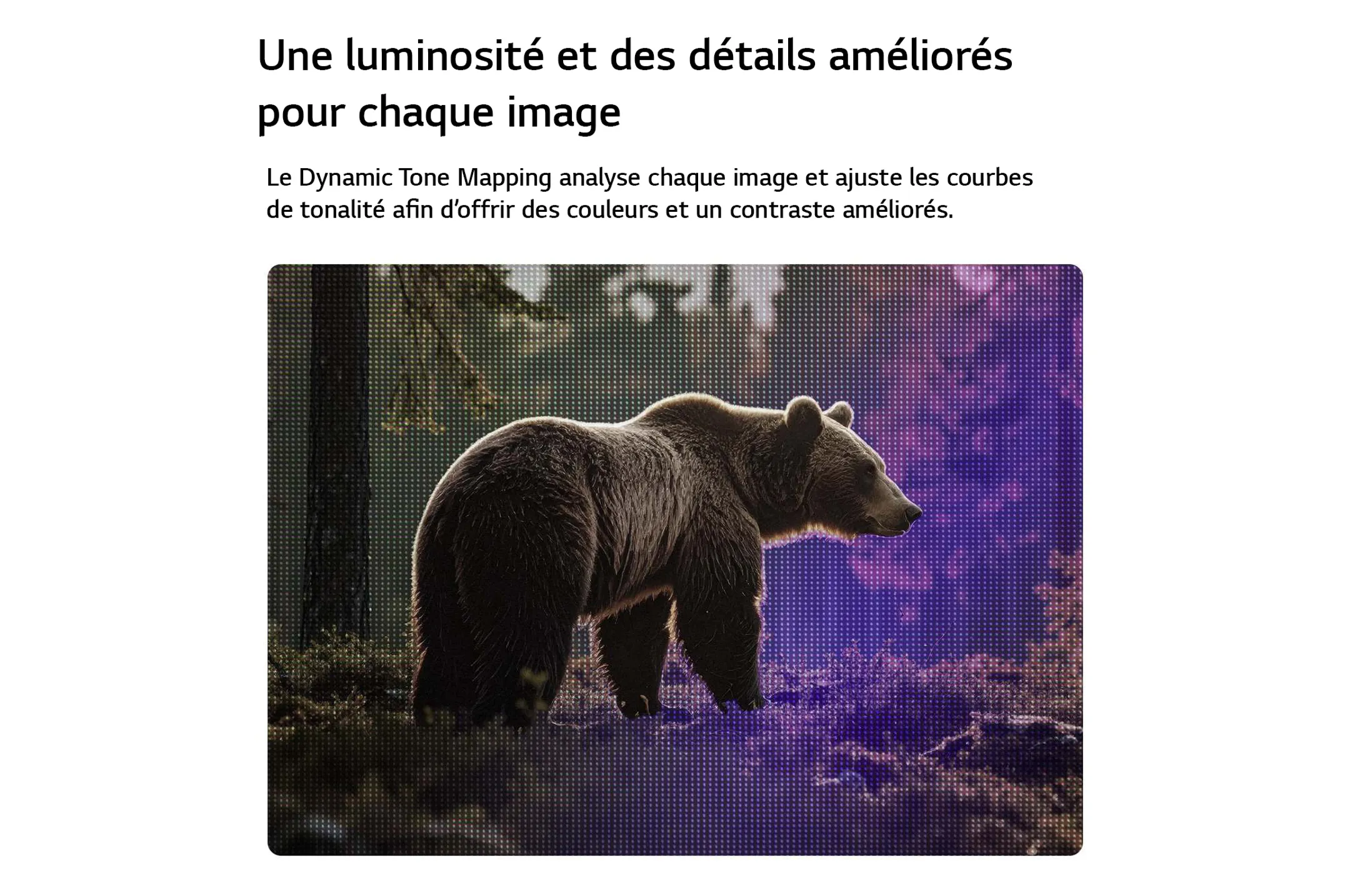 LED TV Full HD 43LB65006LA (2026) - 43 pouces