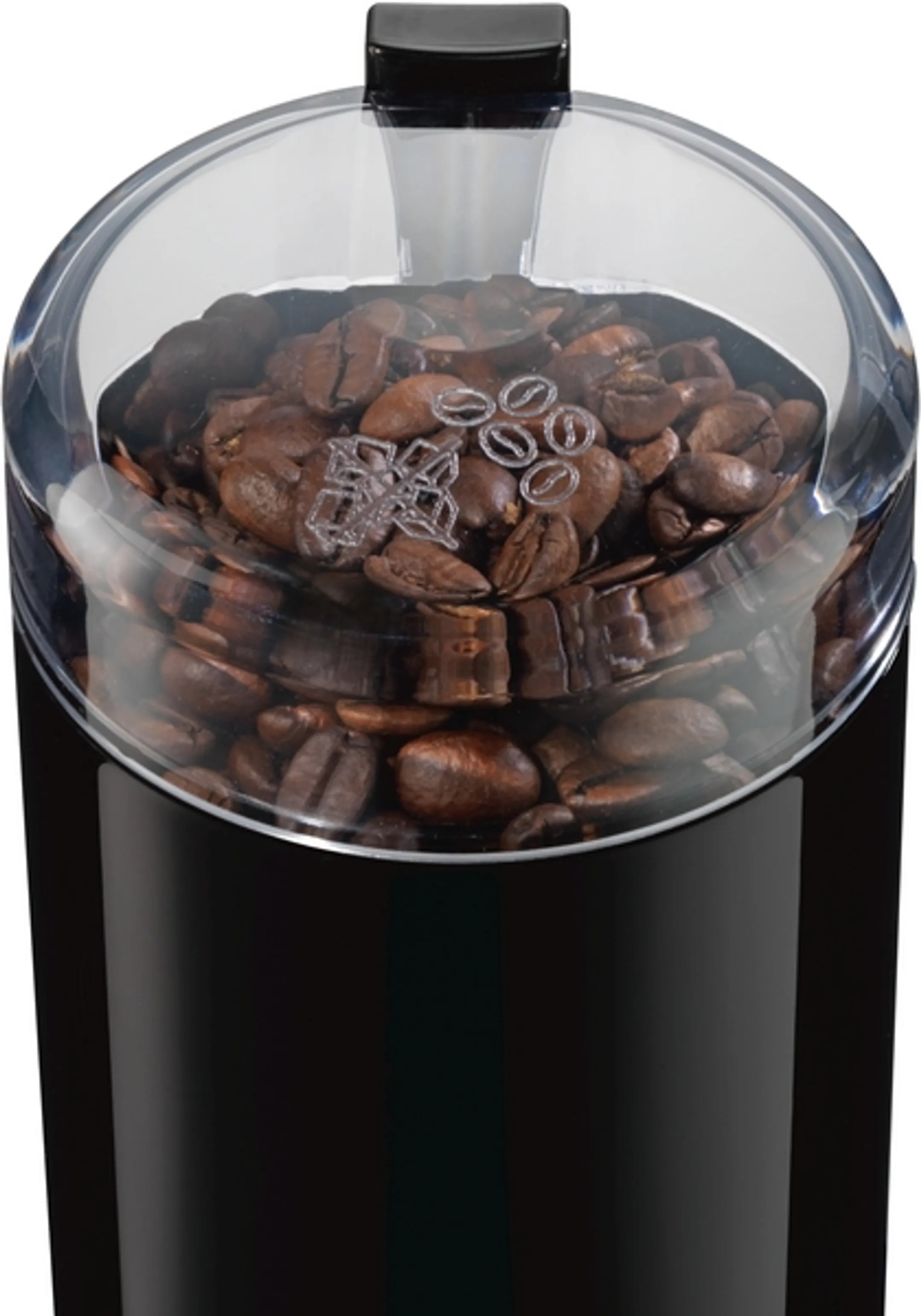 Koffiemolen TSM6A013B