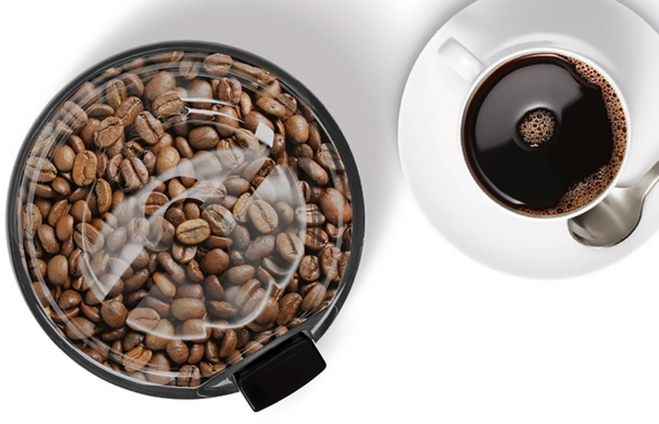 Koffiemolen TSM6A013B