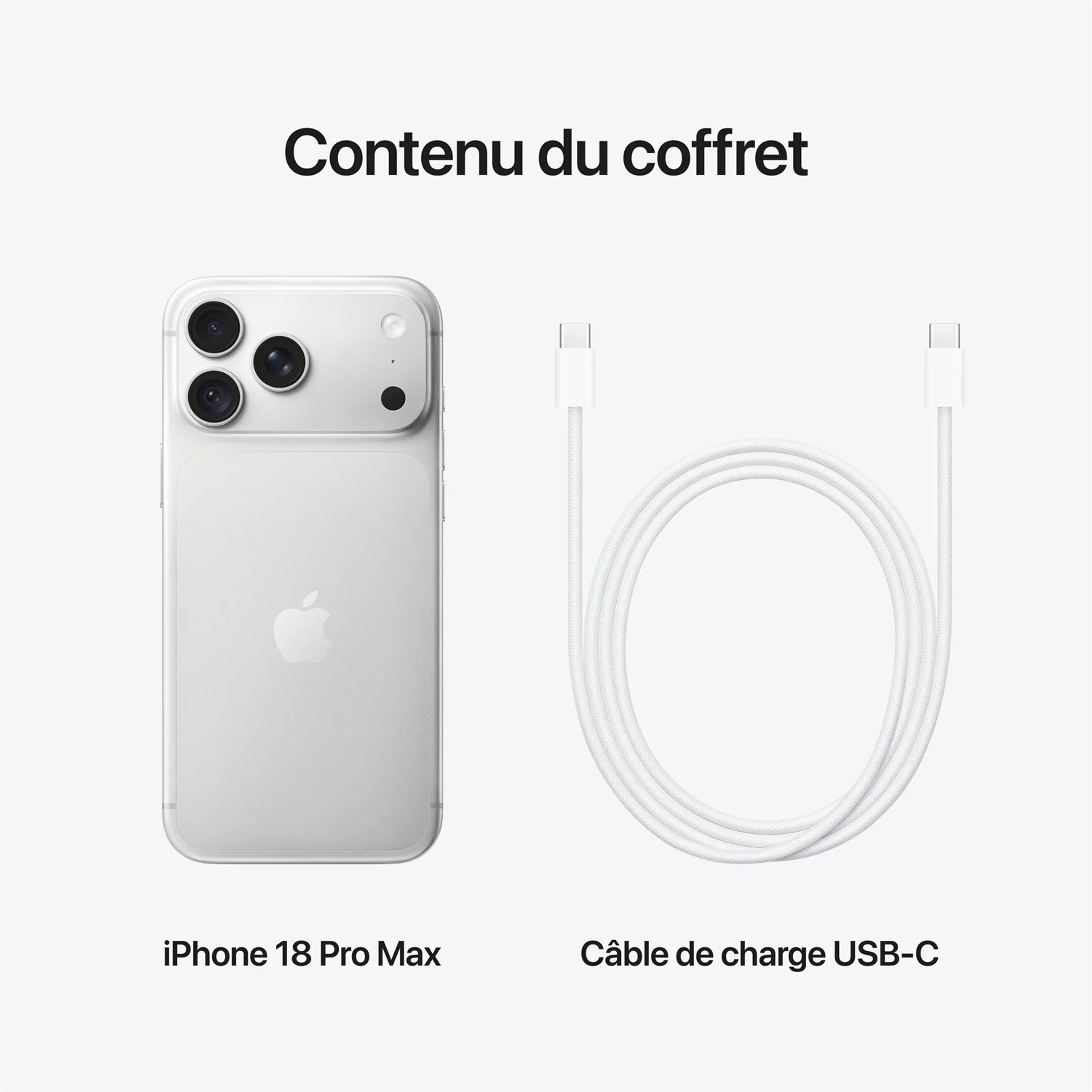 iPhone 18 Pro Max 256Go - Silver