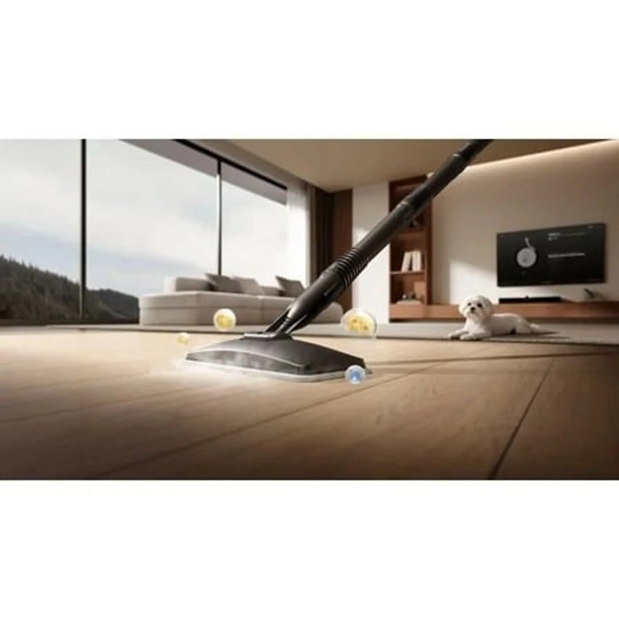 Nettoyeur de tapis S10
