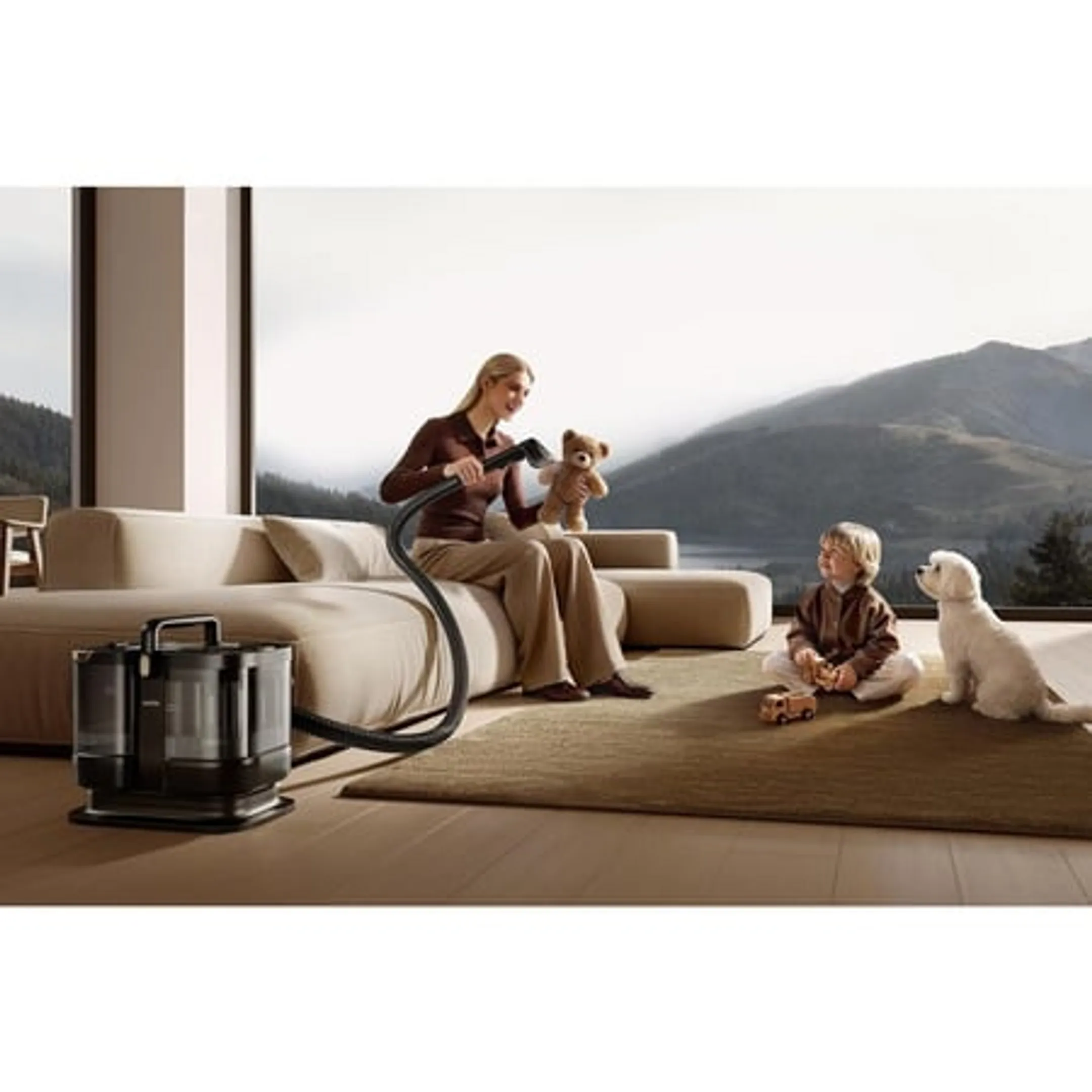 Nettoyeur de tapis S10