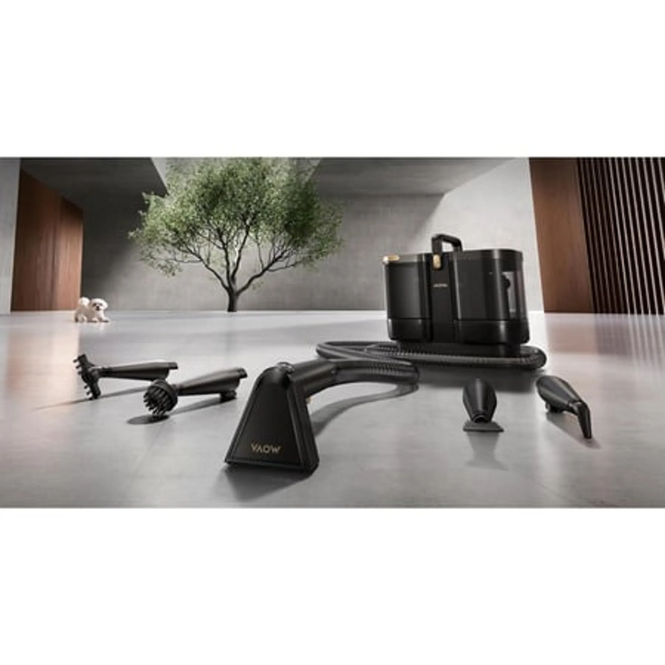 Nettoyeur de tapis S10