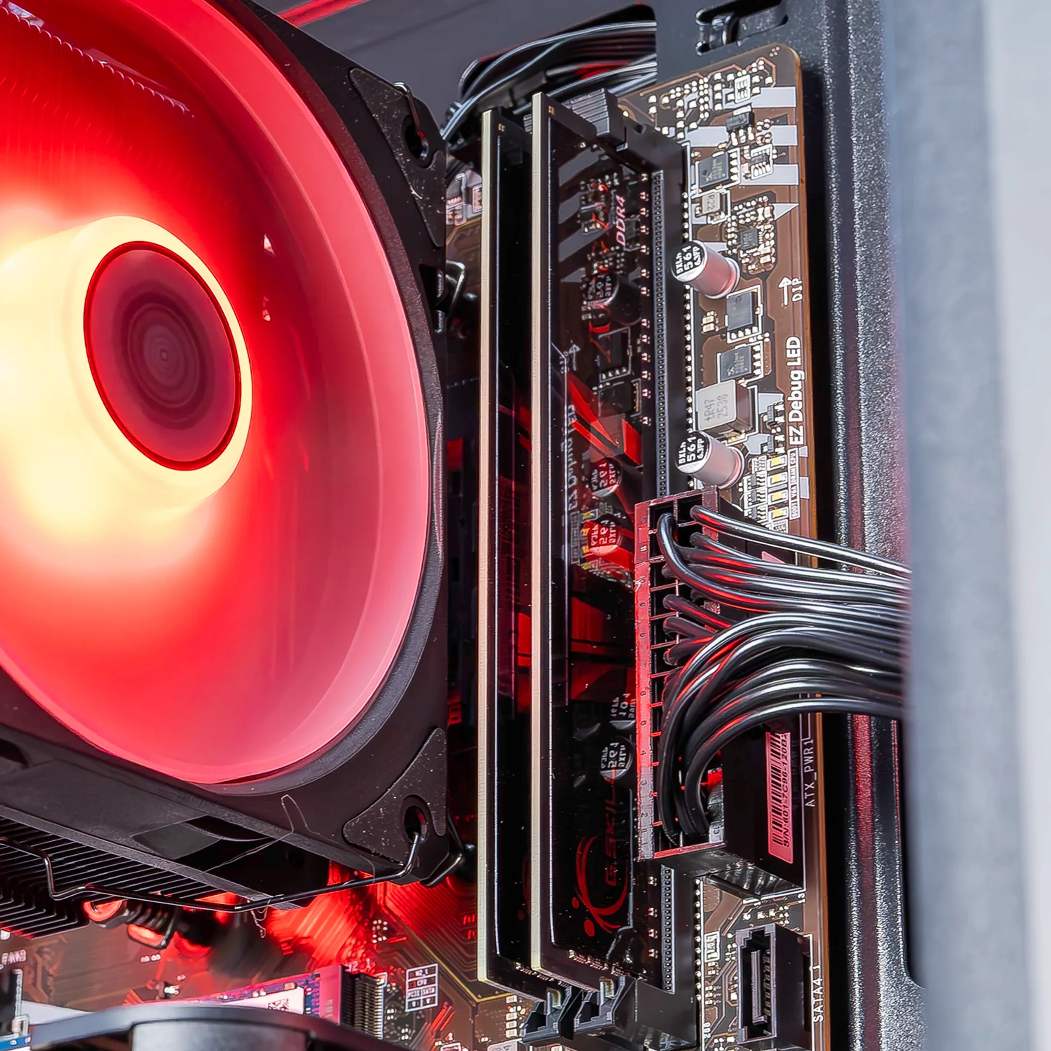 Arena Gaming Desktop - 16GB / 500GB - Nvidia GeForce RTX 5050