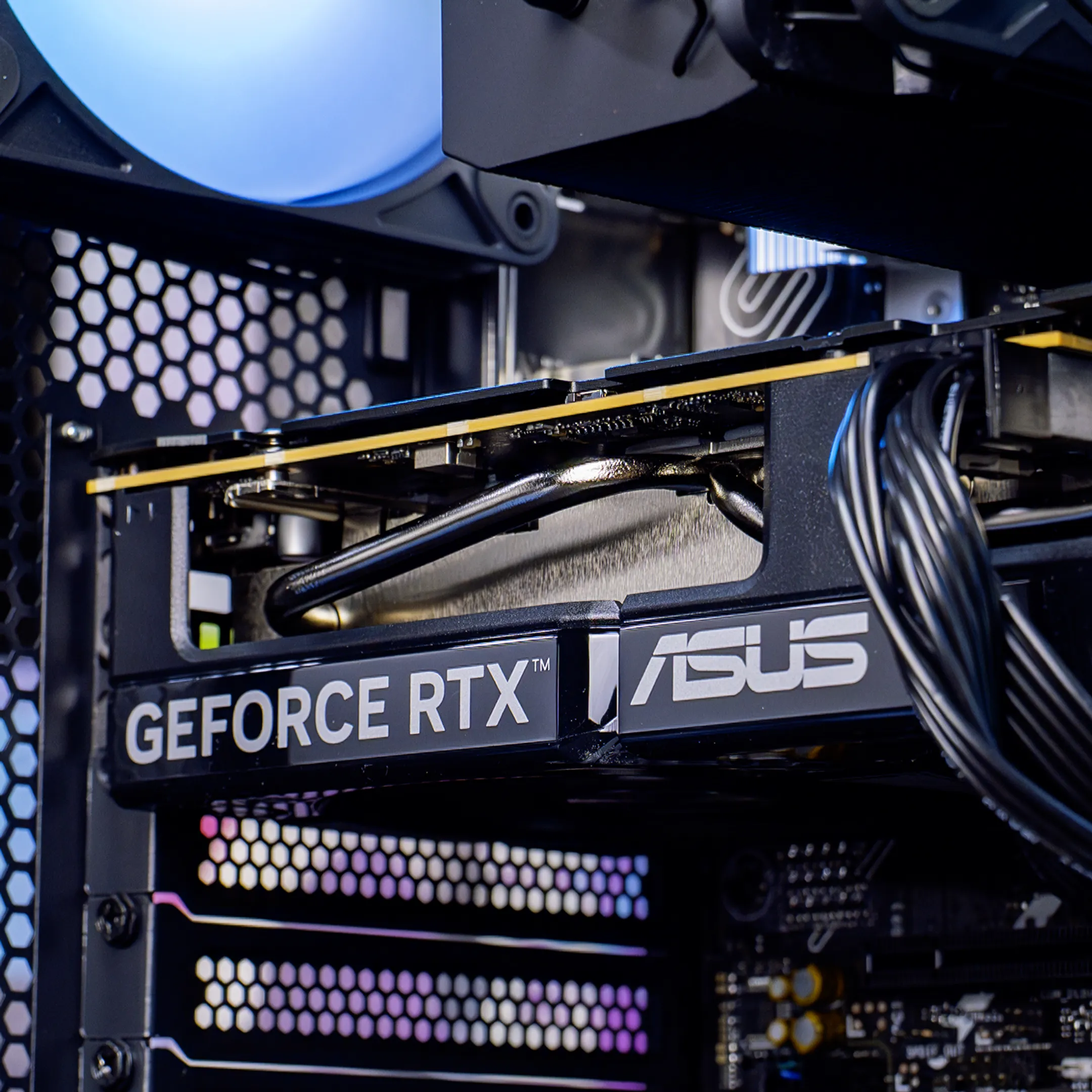 Champion Powered by Asus - 16GB / 1TB - Nvidia GeForce RTX5060