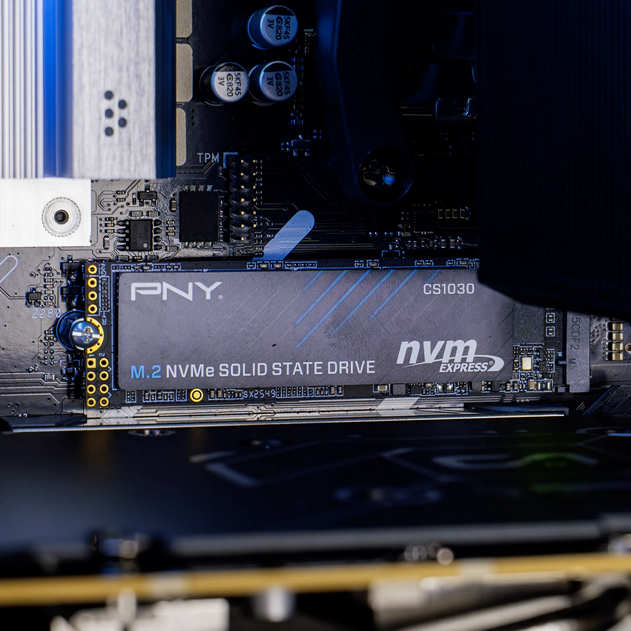 Champion Powered by Asus - 16GB / 1TB - Nvidia GeForce RTX5060