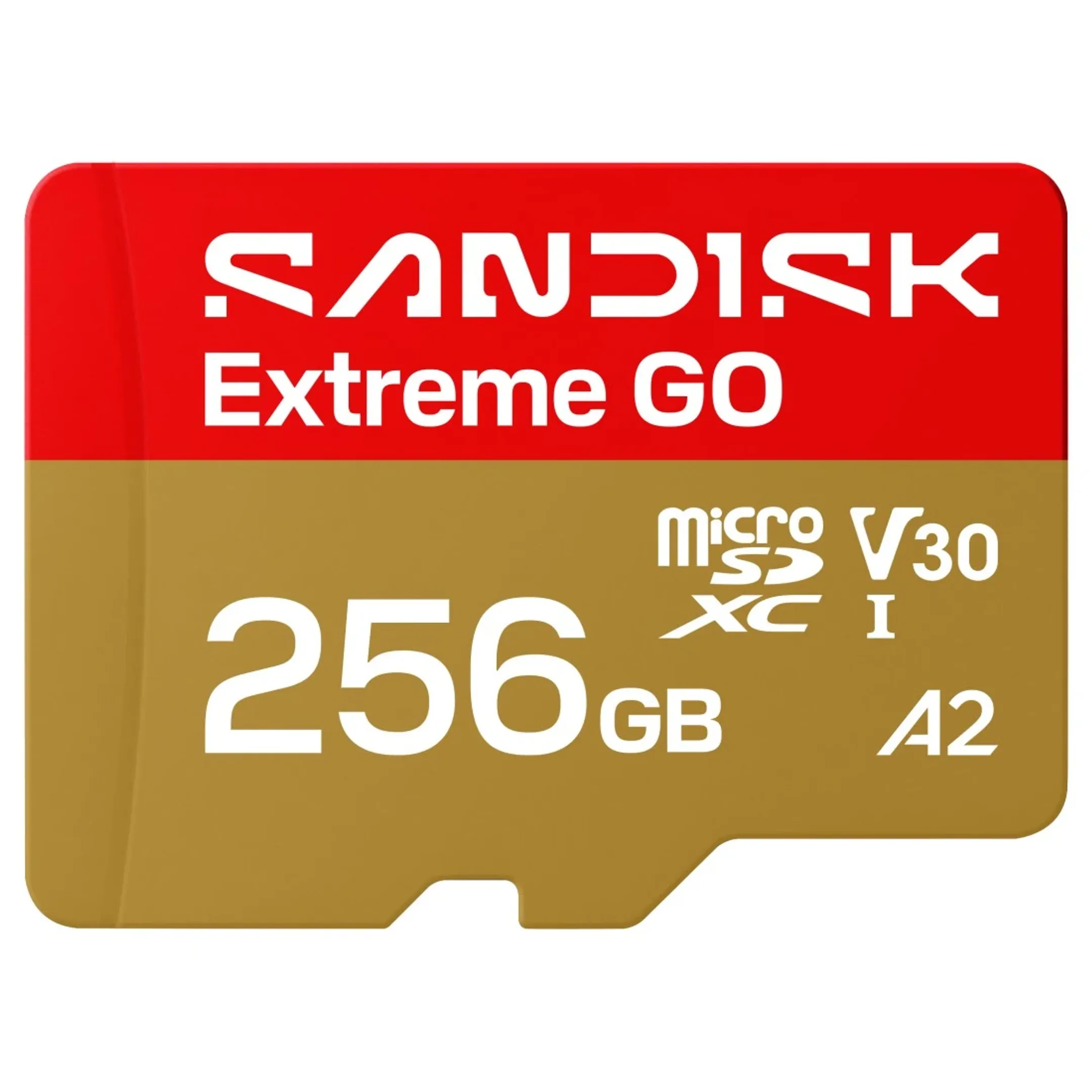 Carte MicroSDXC Extreme GO 256 Go