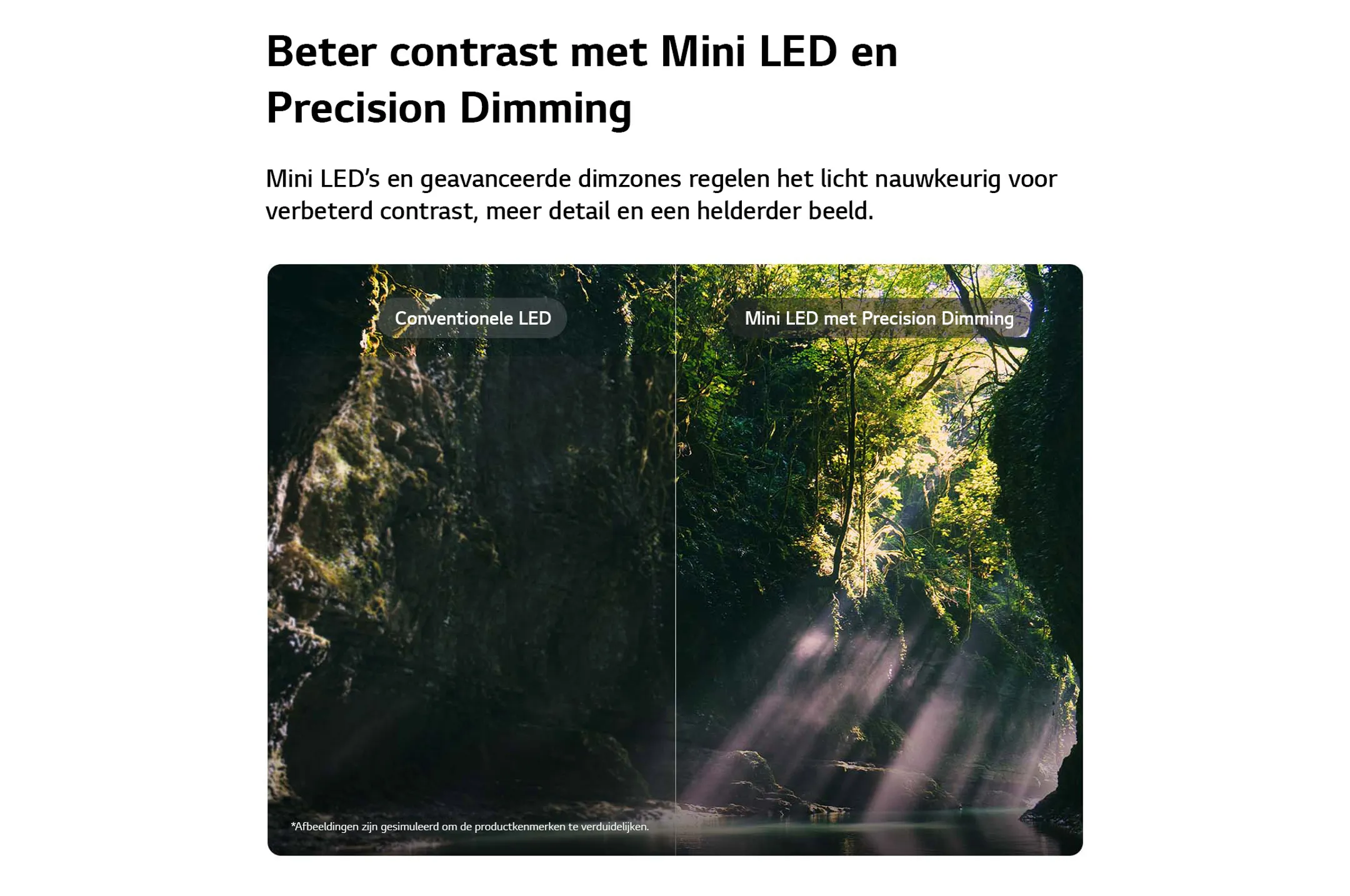 QNED evo AI Mini LED 4K TV 65QNED86B6B (2026) - 65 inch 