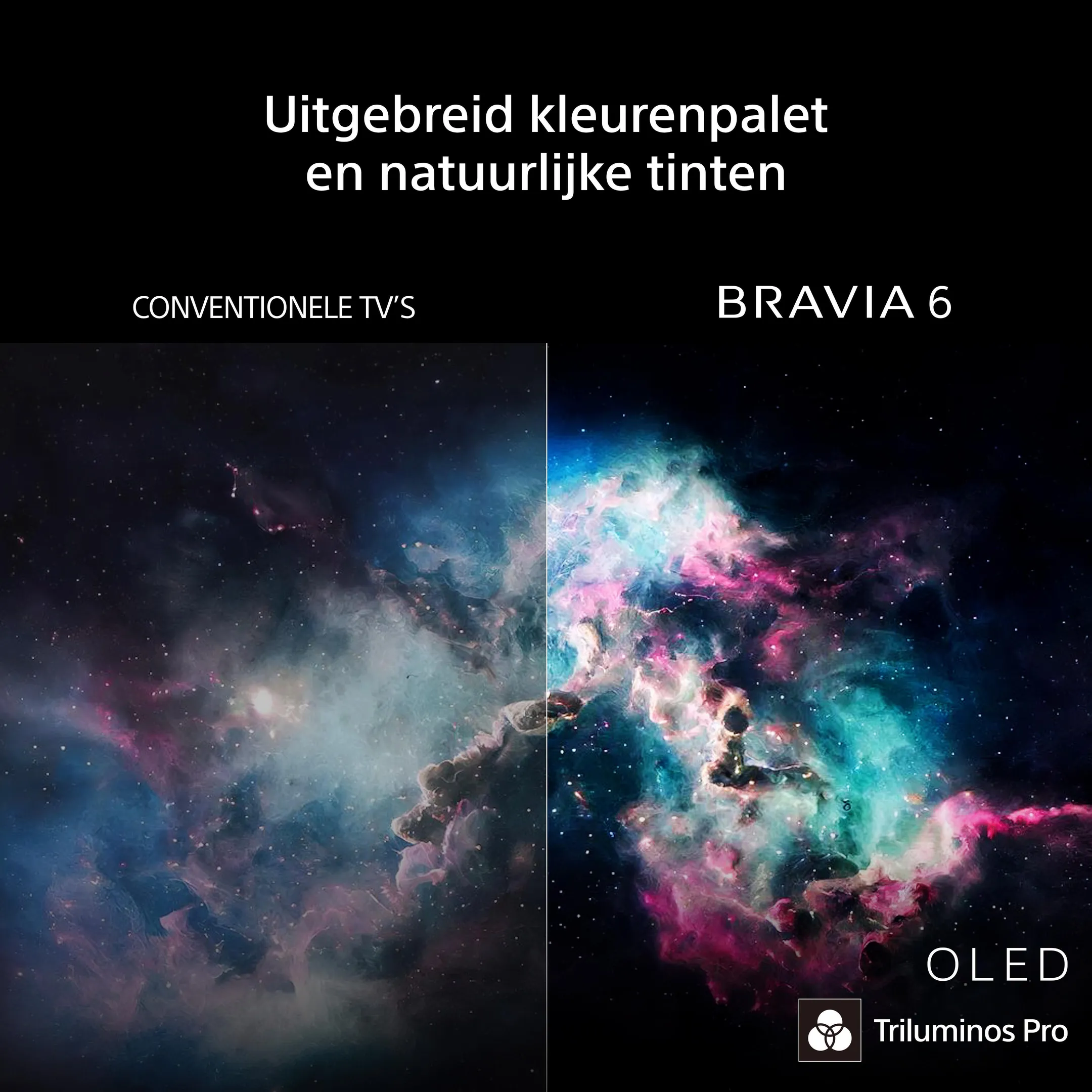 OLED 4K TV Bravia 6 K48A69PB (2026) - 48 inch