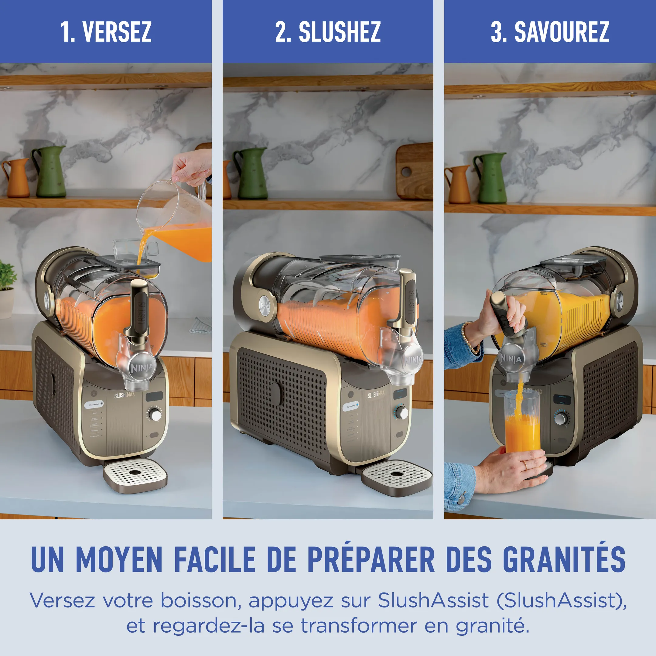 Machine à boissons glacées MAX FS605EUBR