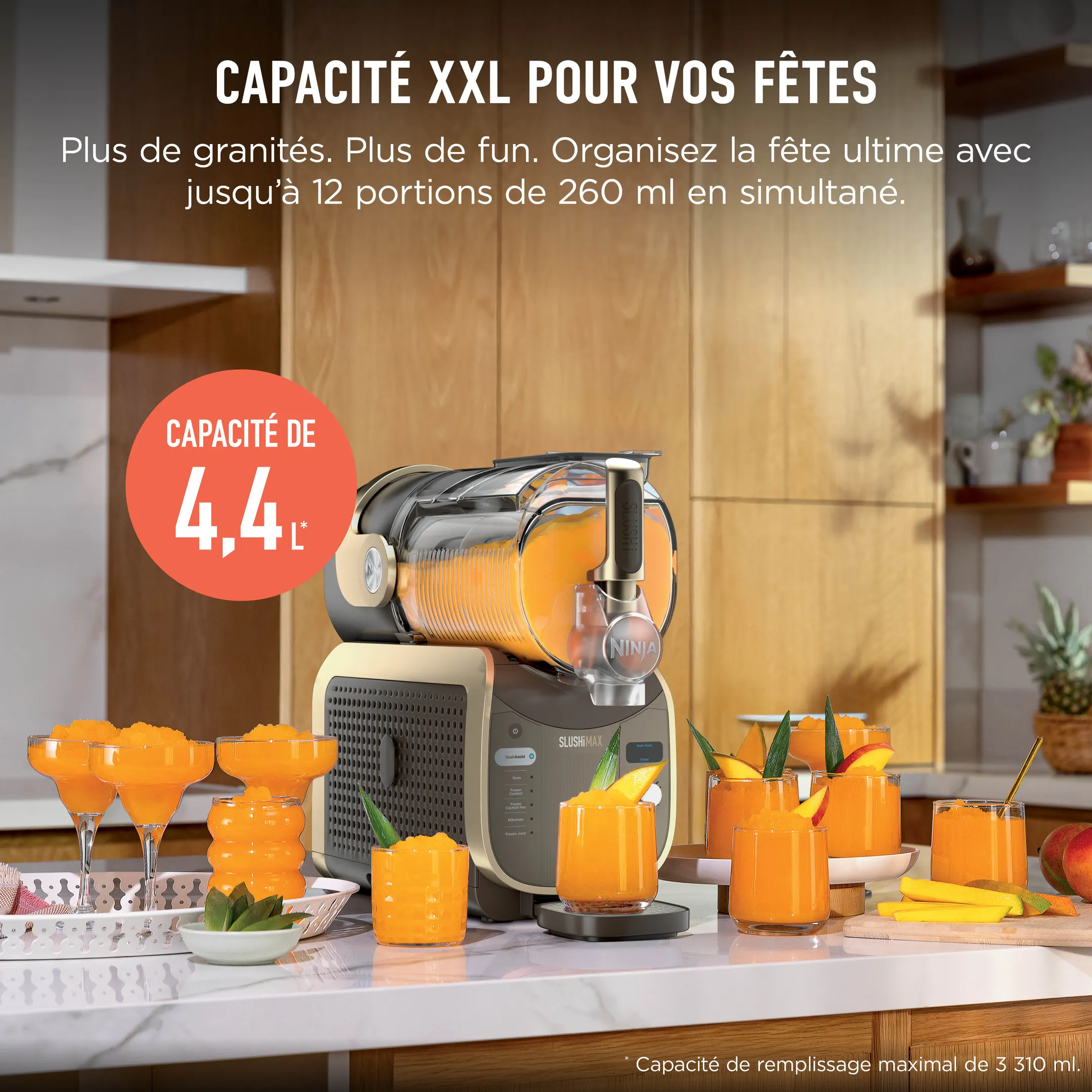 Machine à boissons glacées MAX FS605EUBR
